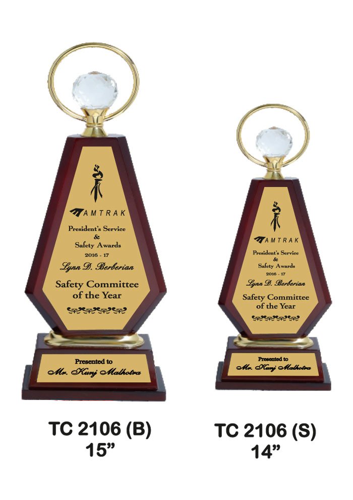 Wooden Trophy Trophy in Delhi