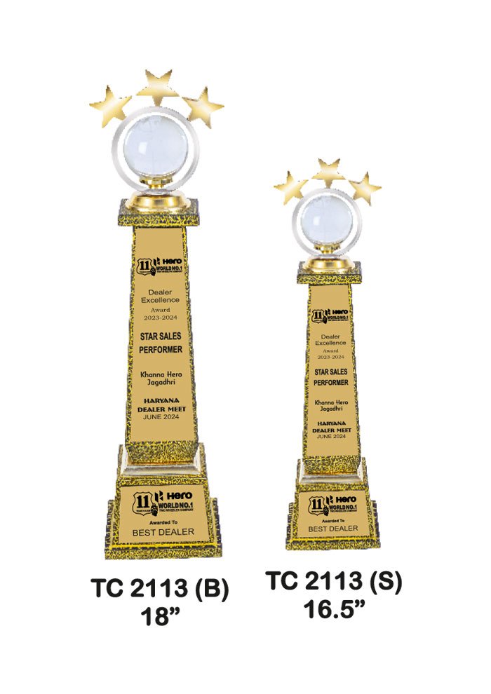 Wooden Trophy Trophy in Delhi
