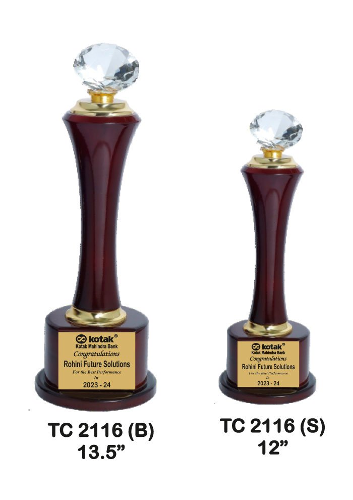 Wooden Trophy Trophy in Delhi