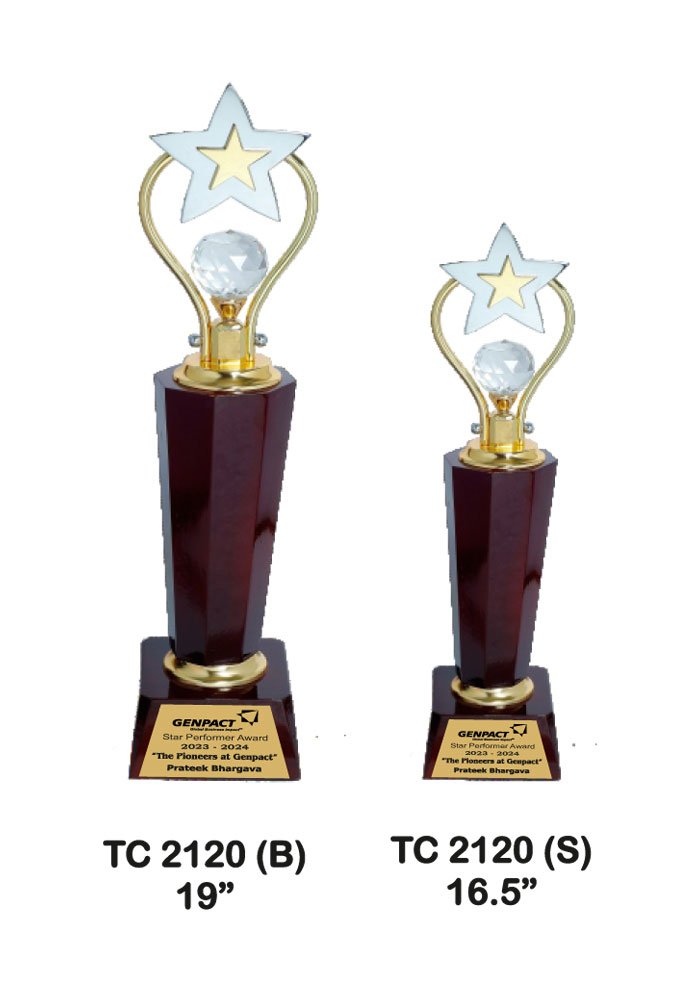 Wooden Trophy Trophy in Delhi