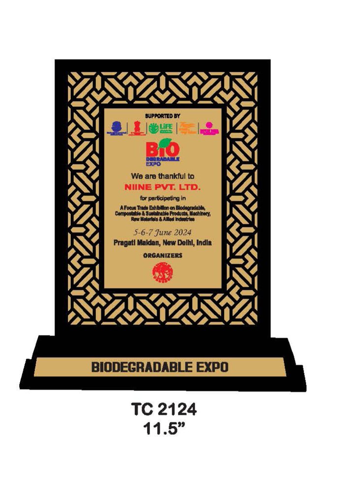 Wooden Trophy Trophy in Delhi