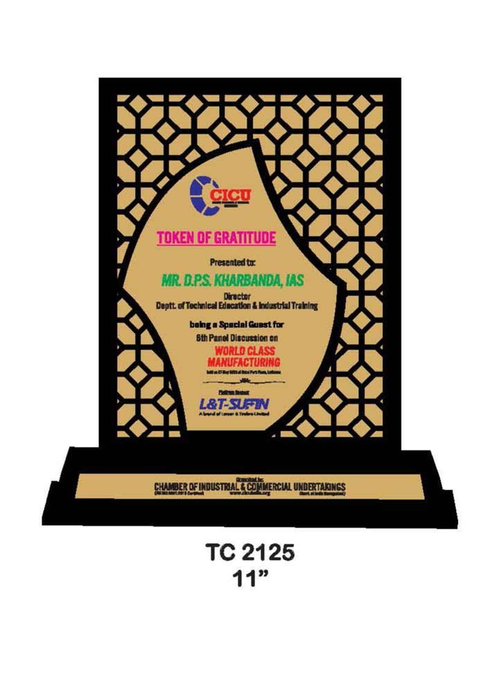 Wooden Trophy Trophy in Delhi