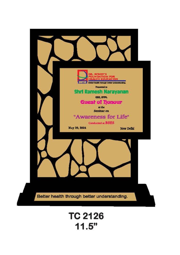 Wooden Trophy Trophy in Delhi