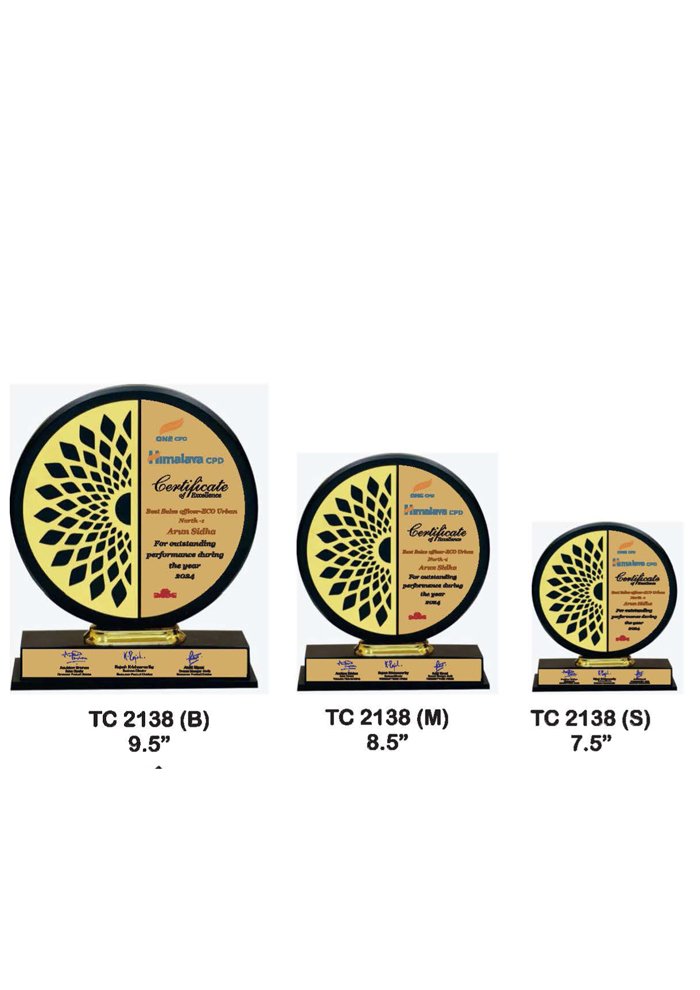 Wooden Trophy Trophy in Delhi
