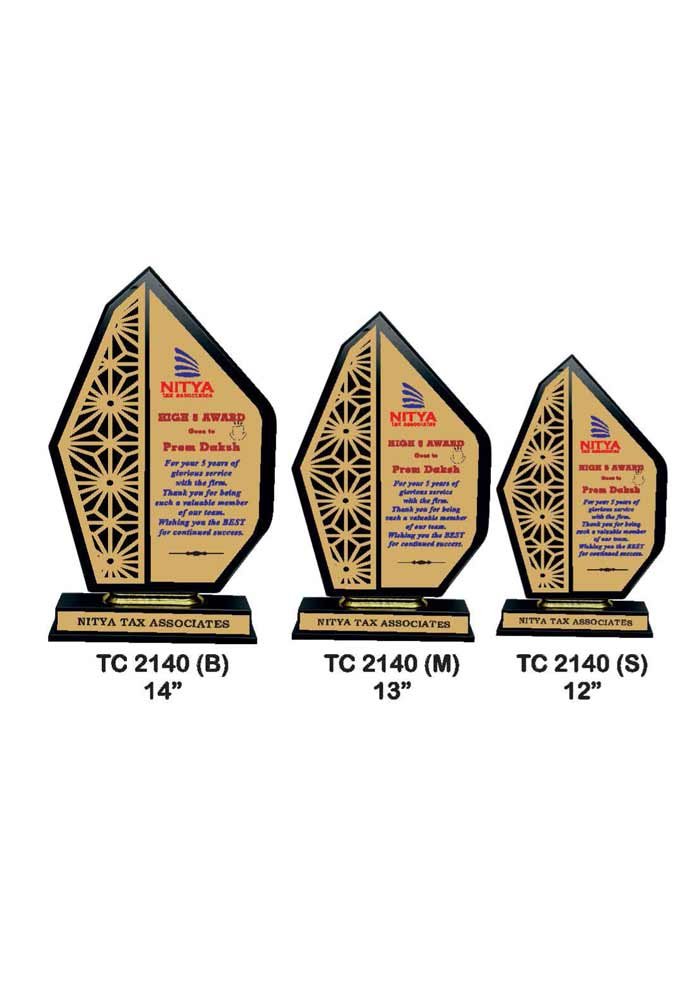 Wooden Trophy Trophy in Delhi