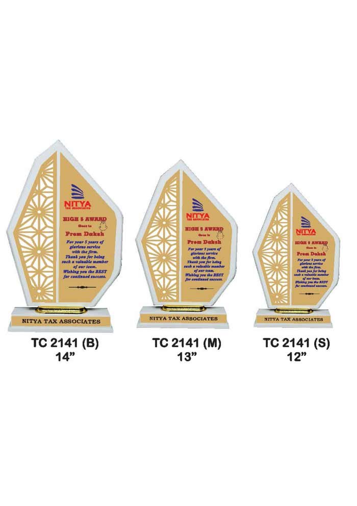 Wooden Trophy Trophy in Delhi
