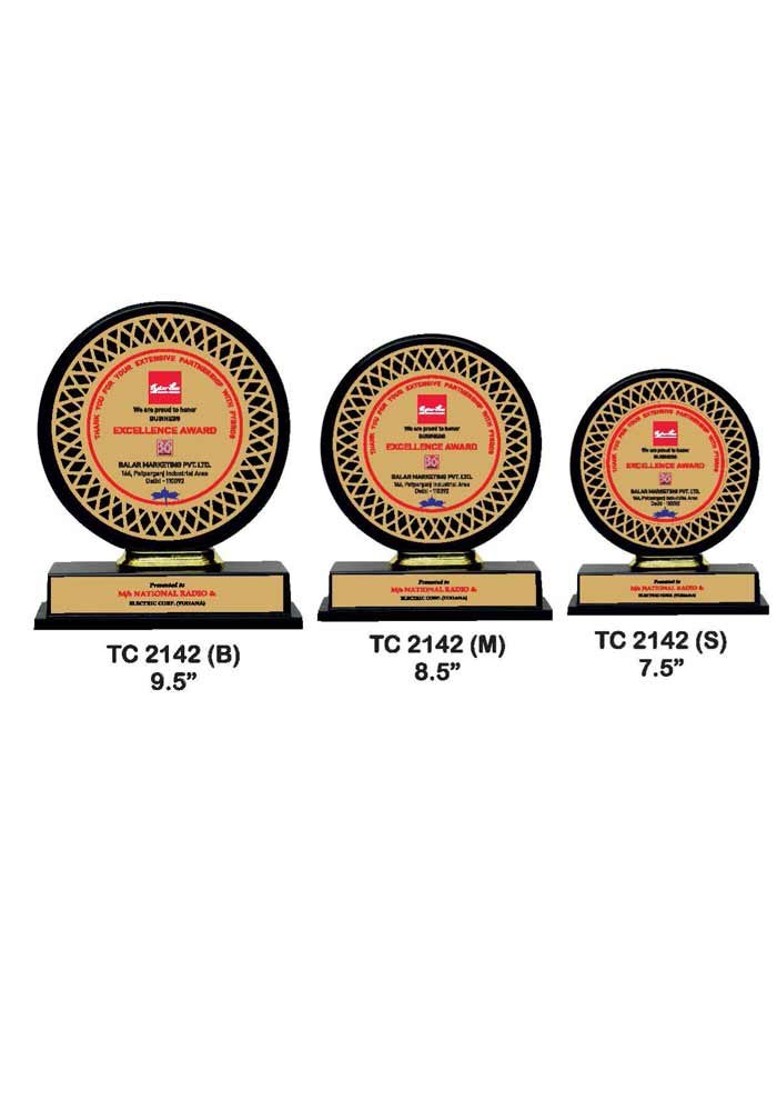 Wooden Trophy Trophy in Delhi