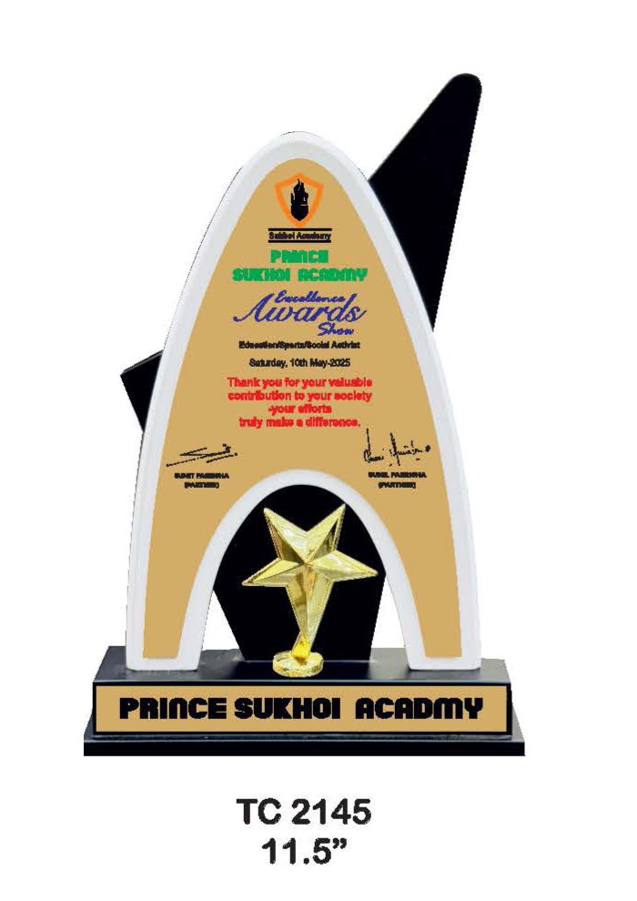 Wooden Trophy Trophy in Delhi