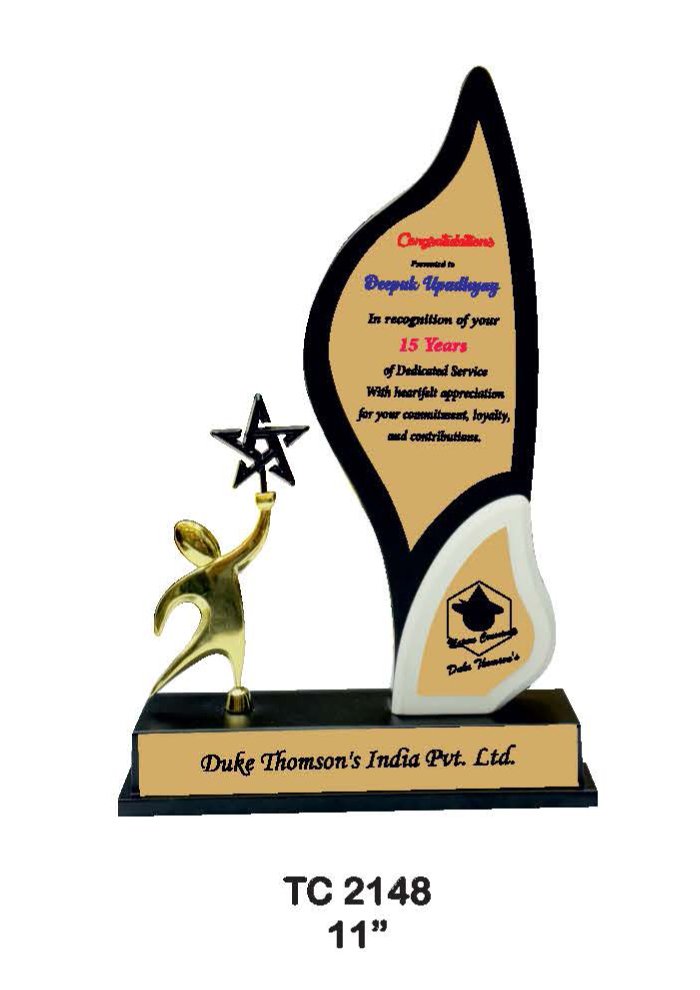 Wooden Trophy Trophy in Delhi