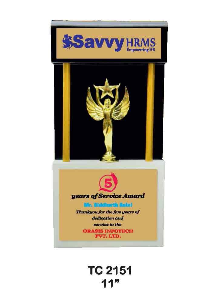 Wooden Trophy Trophy in Delhi
