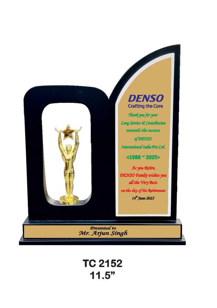 Wooden Trophy Trophy in Delhi