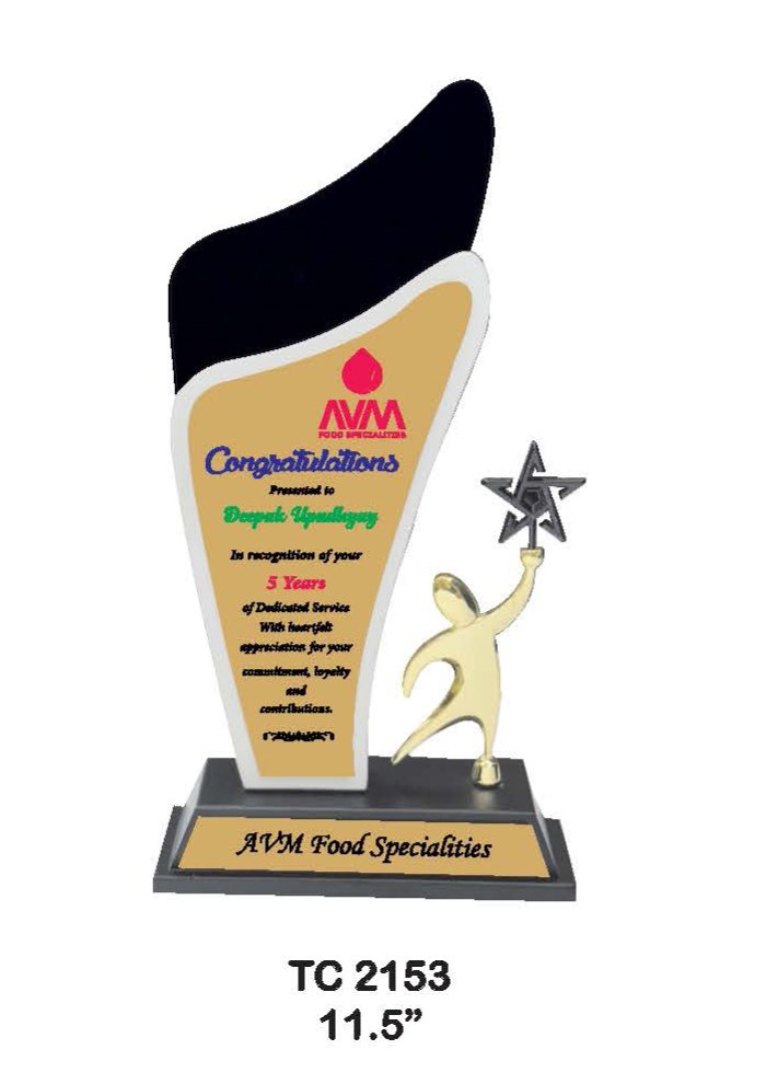 Wooden Trophy Trophy in Delhi