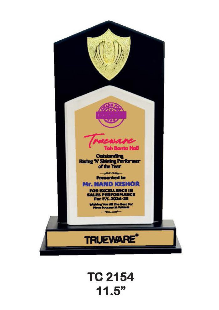 Wooden Trophy Trophy in Delhi