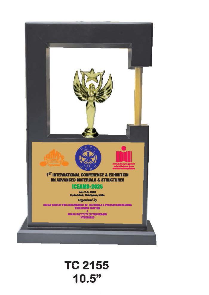 Wooden Trophy Trophy in Delhi