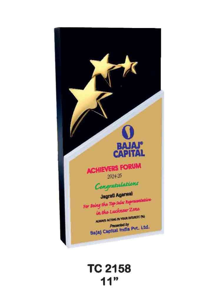 Wooden Trophy Trophy in Delhi
