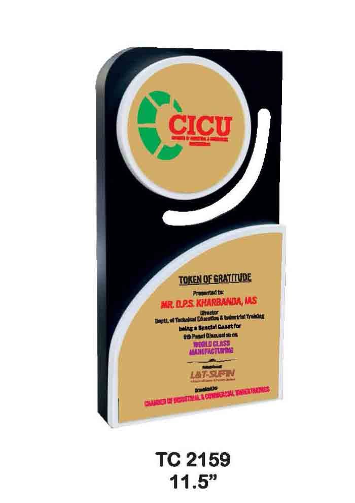 Wooden Trophy Trophy in Delhi