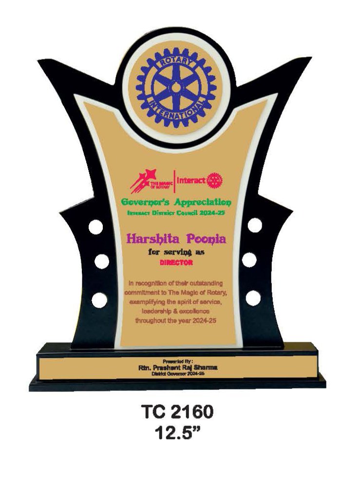 Wooden Trophy Trophy in Delhi