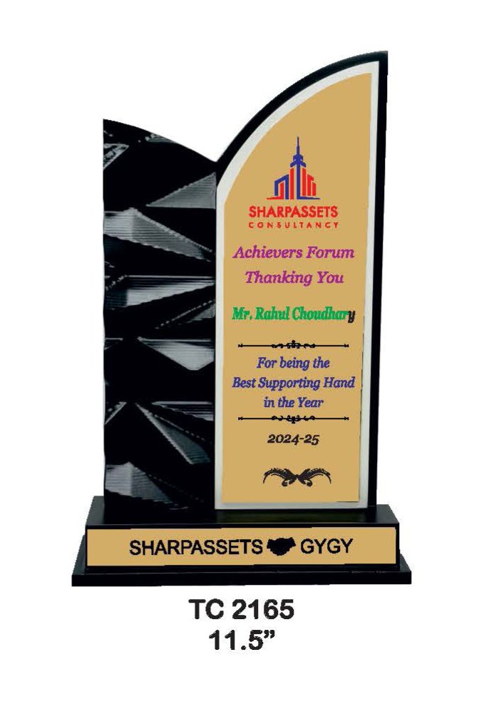 Wooden Trophy Trophy in Delhi