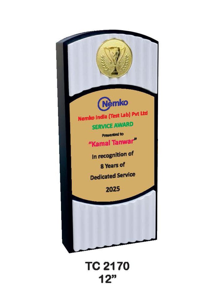 Wooden Trophy Trophy in Delhi