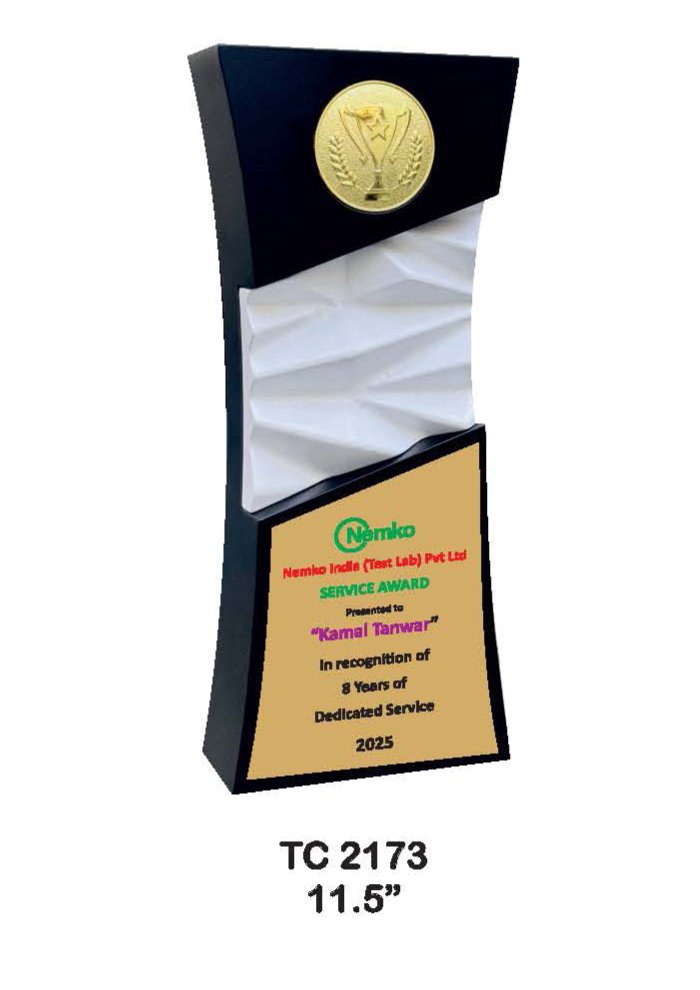 Wooden Trophy Trophy in Delhi
