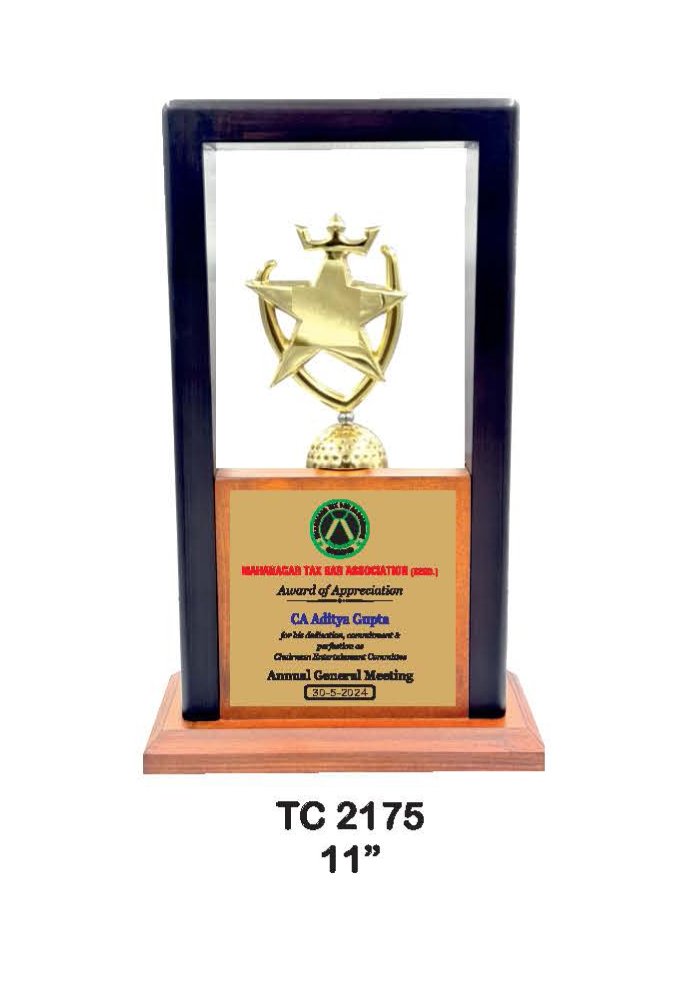 Wooden Trophy Trophy in Delhi