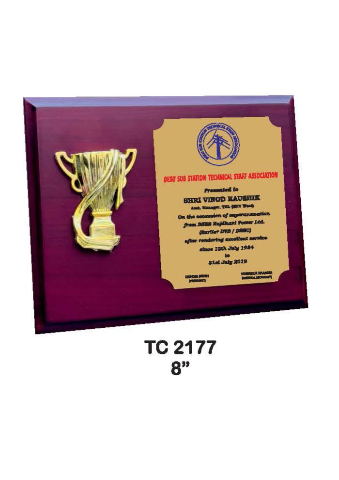 Wooden Trophy Trophy in Delhi